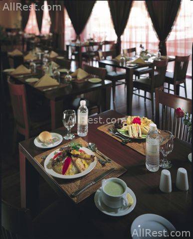 Coral Oriental Dubai 7